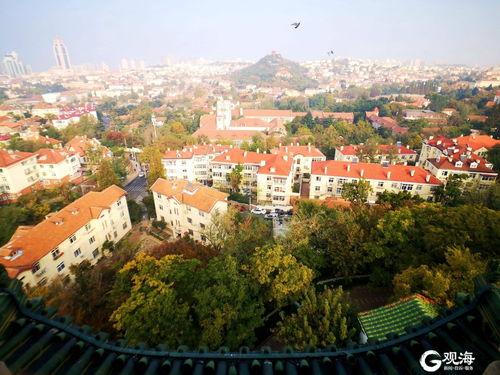 山顶御祥和园爆料新闻,揭秘高端住宅区的神秘面纱